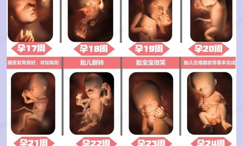 怀孕脸上长斑产后会消失吗-怀孕脸上长斑怎么消除专区_怀孕脸上长斑图片专区_怀孕脸上容易出油男孩吗网