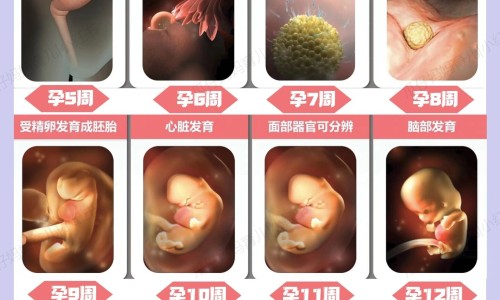 怀孕脸上长斑图片-怀孕脸上长斑怎么消除专区_怀孕脸上长斑图片专区_怀孕脸上容易出油男孩吗网